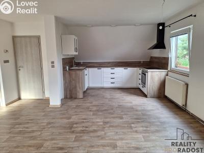Pronájem bytu 3+KK Děčín, Slovanská č. 1