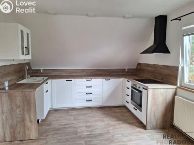 Pronájem bytu 3+KK Děčín, Slovanská č. 2