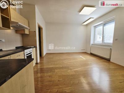 Оренда квартири 2+KK Praha 14, V chaloupkách č. 91