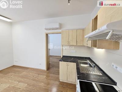 Оренда квартири 2+KK Praha 14, V chaloupkách č. 54