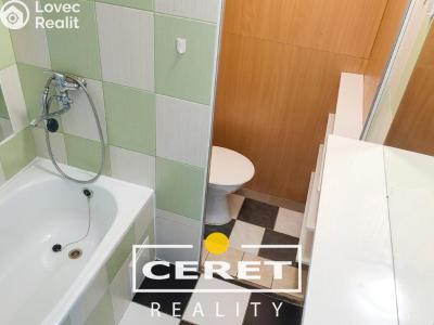 Rent apartment 1+1 Žatec, Šafaříkova č. 1