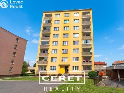 Rent apartment 1+1 Žatec, Šafaříkova č. 5