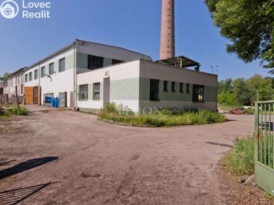 Sale production hall Jindřichův Hradec č. 4