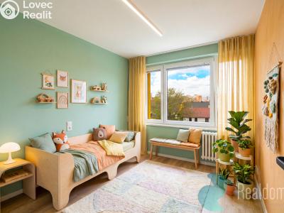 Prodej bytu 3+KK České Budějovice, J. Plachty č. 6