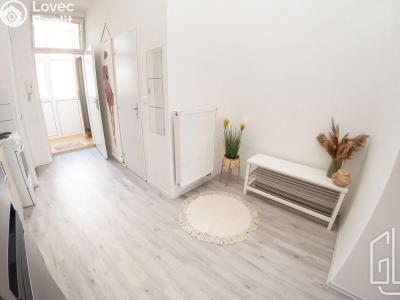 Pronájem bytu 1+1 Brno, Rumiště č. 15