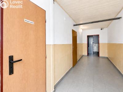 Prodej bytu 1+1 Jirkov, SNP 1632 č. 23