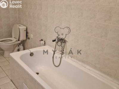 Pronájem bytu 2+KK České Budějovice, Holečkova č. 5