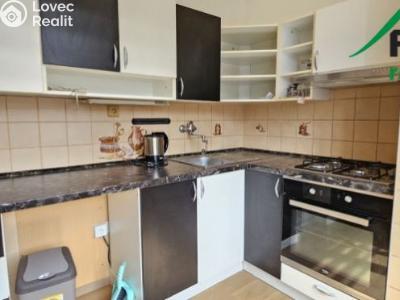 Pronájem bytu 3+1 Tachov, Školní č. 4