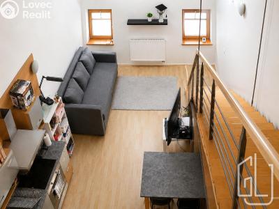 Pronájem bytu 1+1 Brno, Údolní č. 1