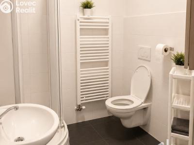 Pronájem bytu 1+1 Brno, Údolní č. 5
