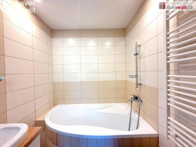 Pronájem bytu 2+1 Ústí nad Labem, Kmochova č. 10