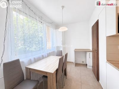 Pronájem bytu 2+1 Ústí nad Labem, Kmochova č. 12