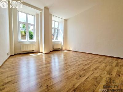 Pronájem bytu 2+1 Brno, Vlhká č. 2