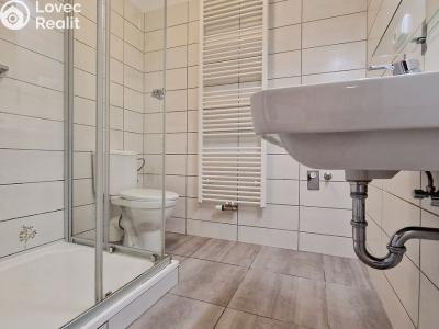 Pronájem bytu 2+1 Brno, Vlhká č. 3