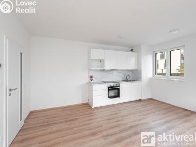 Rent apartment 1+KK Přezletice, Pod Zahrady č. 1