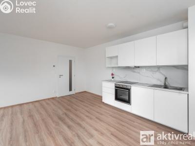 Rent apartment 1+KK Přezletice, Pod Zahrady č. 6