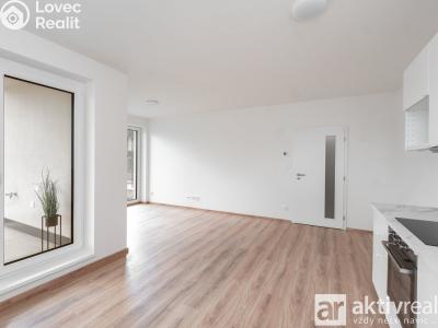 Rent apartment 1+KK Přezletice, Pod Zahrady č. 8