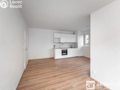 Rent apartment 1+KK Přezletice, Pod Zahrady č. 10