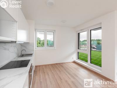 Rent apartment 1+KK Přezletice, Pod Zahrady č. 11