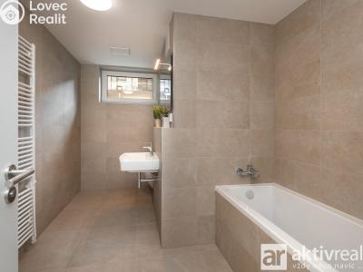 Rent apartment 1+KK Přezletice, Pod Zahrady č. 13