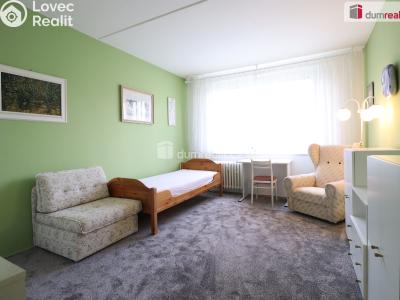 Pronájem bytu 2+1 Karlovy Vary, Východní č. 6