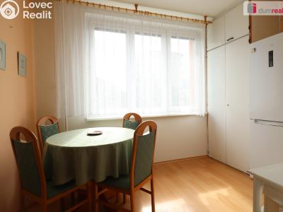 Pronájem bytu 2+1 Karlovy Vary, Východní č. 11