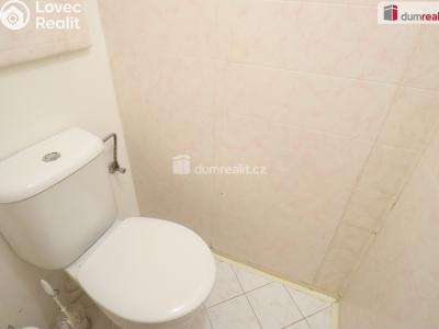 Pronájem bytu 2+1 Karlovy Vary, Východní č. 14