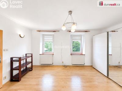 Pronájem bytu 1+1 Děčín, Litoměřická č. 1