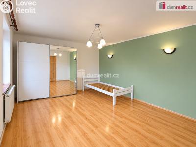 Pronájem bytu 1+1 Děčín, Litoměřická č. 5