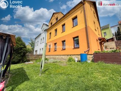 Pronájem bytu 1+1 Děčín, Litoměřická č. 7