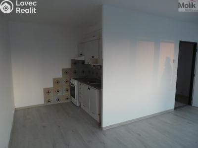 Pronájem bytu 1+KK Most, Lidická č. 2