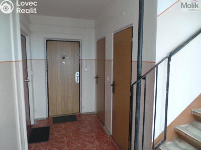 Pronájem bytu 1+KK Most, Lidická č. 12