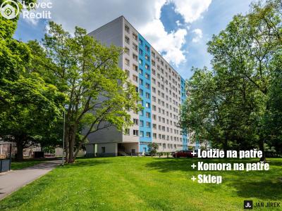 Prodej bytu 2+1 Pardubice, Gagarinova 386 č. 1