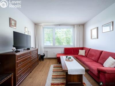 Prodej bytu 2+1 Pardubice, Gagarinova 386 č. 2