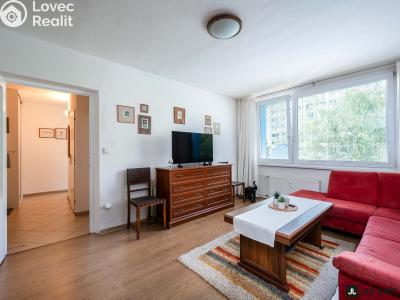 Prodej bytu 2+1 Pardubice, Gagarinova 386 č. 3