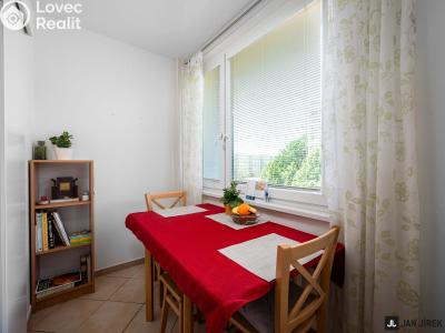 Prodej bytu 2+1 Pardubice, Gagarinova 386 č. 7