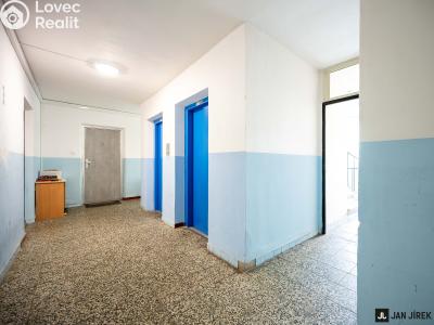 Prodej bytu 2+1 Pardubice, Gagarinova 386 č. 11