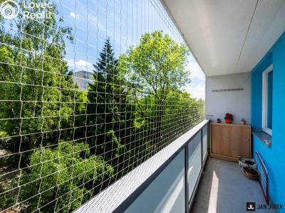 Prodej bytu 2+1 Pardubice, Gagarinova 386 č. 13