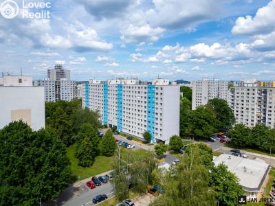 Prodej bytu 2+1 Pardubice, Gagarinova 386 č. 14