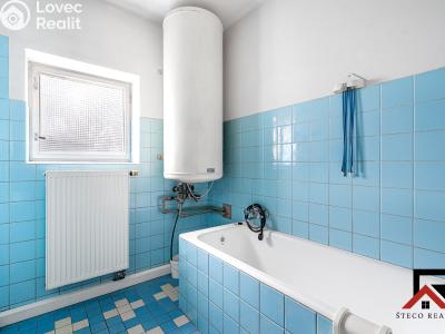 Продажа семейного дома Lochenice č. 21