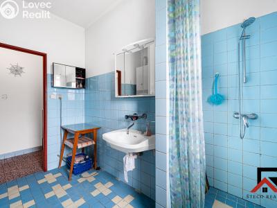 Продажа семейного дома Lochenice č. 22