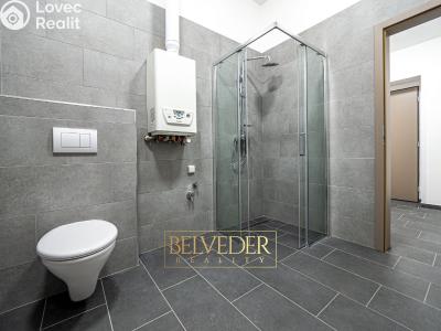 Pronájem bytu 3+KK Teplice, Pražská č. 10