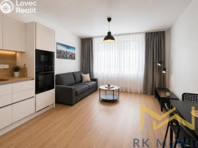 Rent apartment 3+KK Praha, U Jezerky č. 5