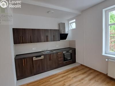 Pronájem bytu 3+KK Ostrava, Hollarova č. 6
