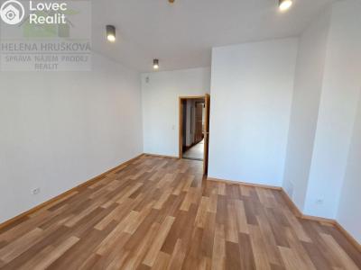 Pronájem bytu 3+KK Ostrava, Hollarova č. 14