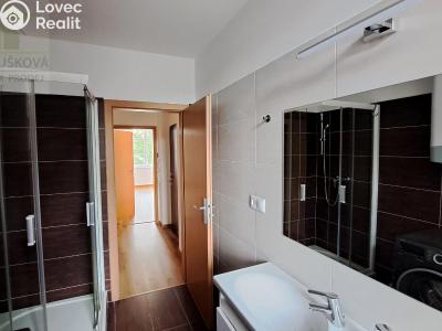 Pronájem bytu 3+KK Ostrava, Hollarova č. 18
