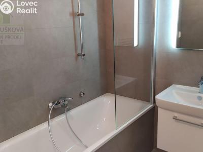 Pronájem bytu 2+KK Ostrava, Hasičská č. 20