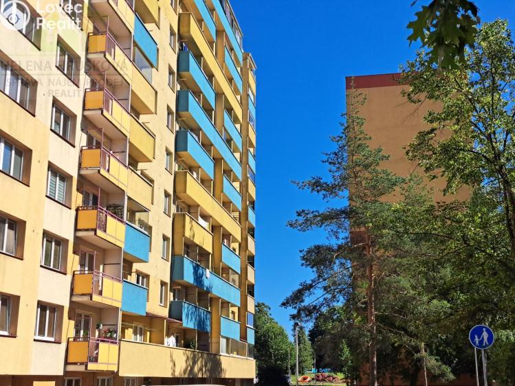 Pronájem bytu 1+1 Ostrava, Jičínská 288/25 č. 1