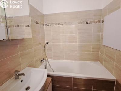 Pronájem bytu 1+1 Ostrava, Jičínská č. 10