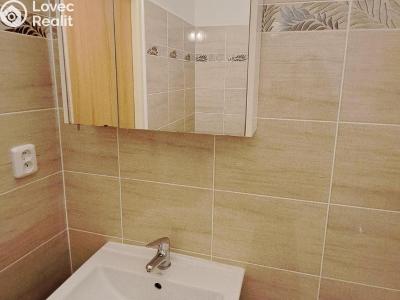 Pronájem bytu 1+1 Ostrava, Jičínská č. 11